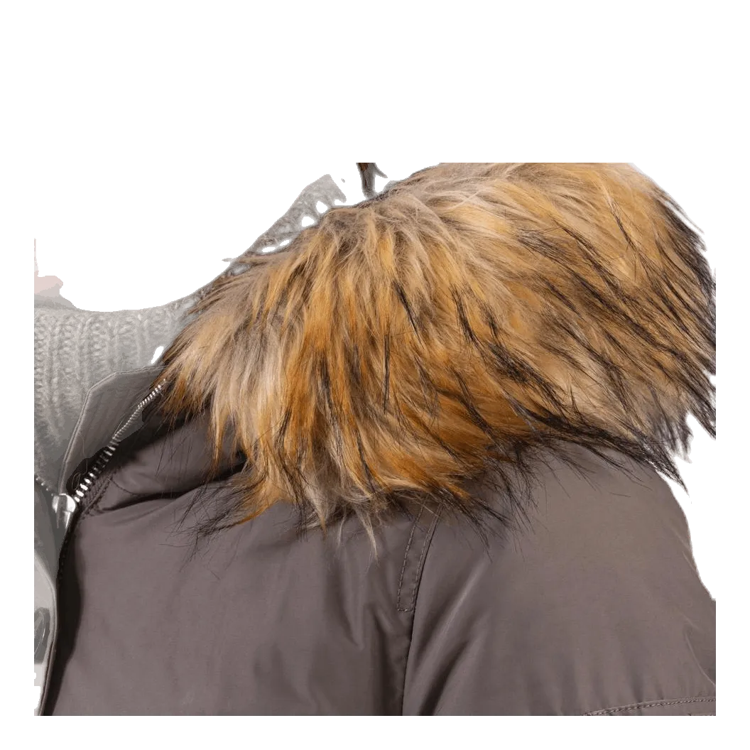 Cat Beige