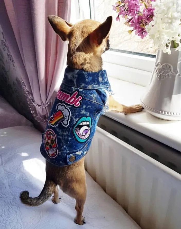 Custom Patched Dog Battle Jacket