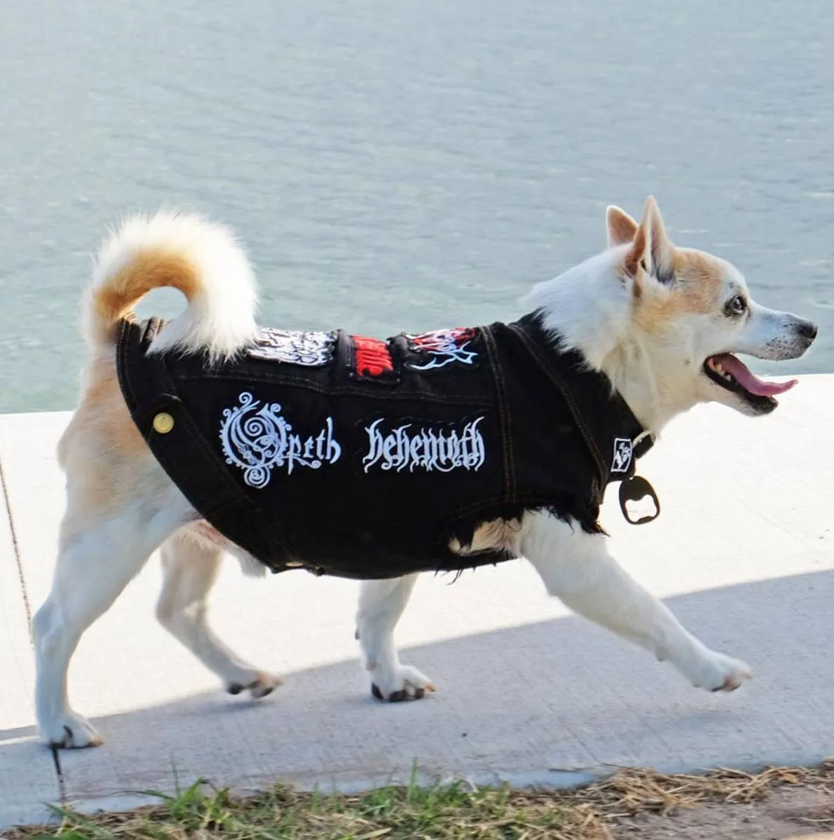 Custom Patched Dog Battle Jacket