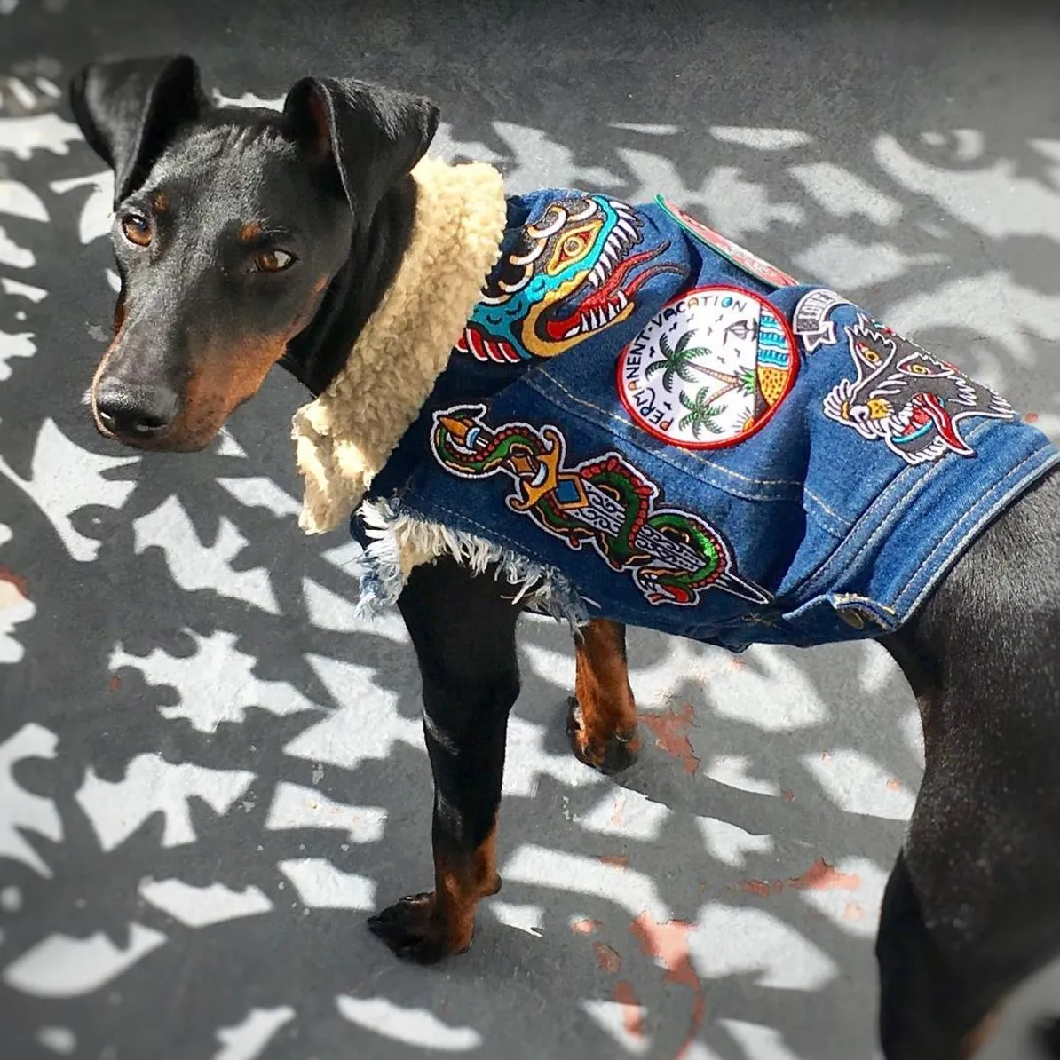 Custom Patched Dog Battle Jacket