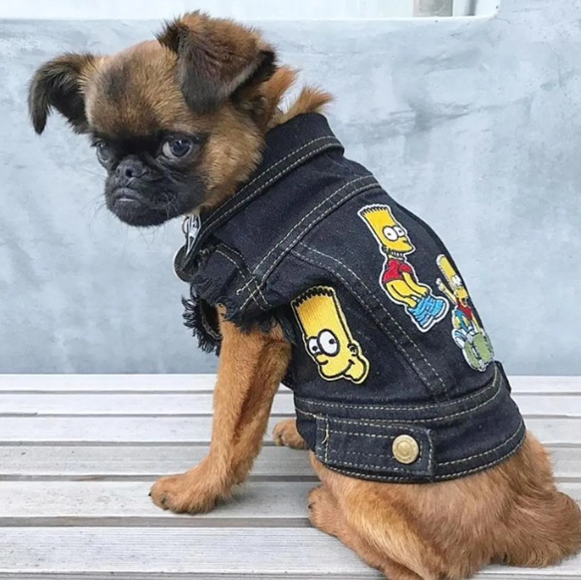 Custom Patched Dog Battle Jacket