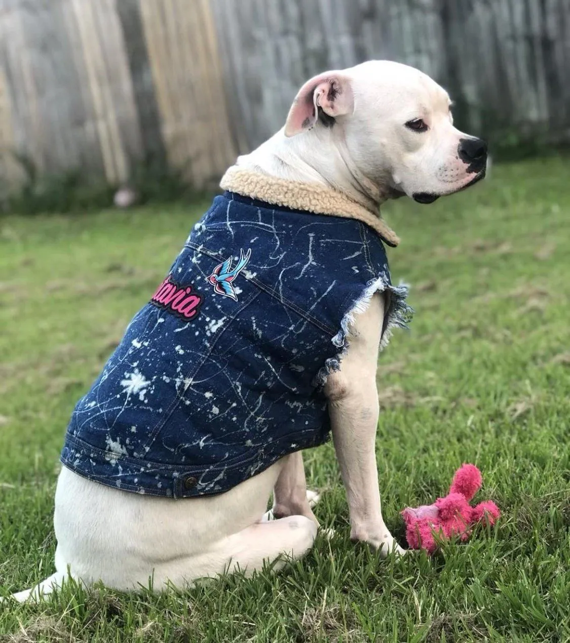 Custom Patched Dog Battle Jacket