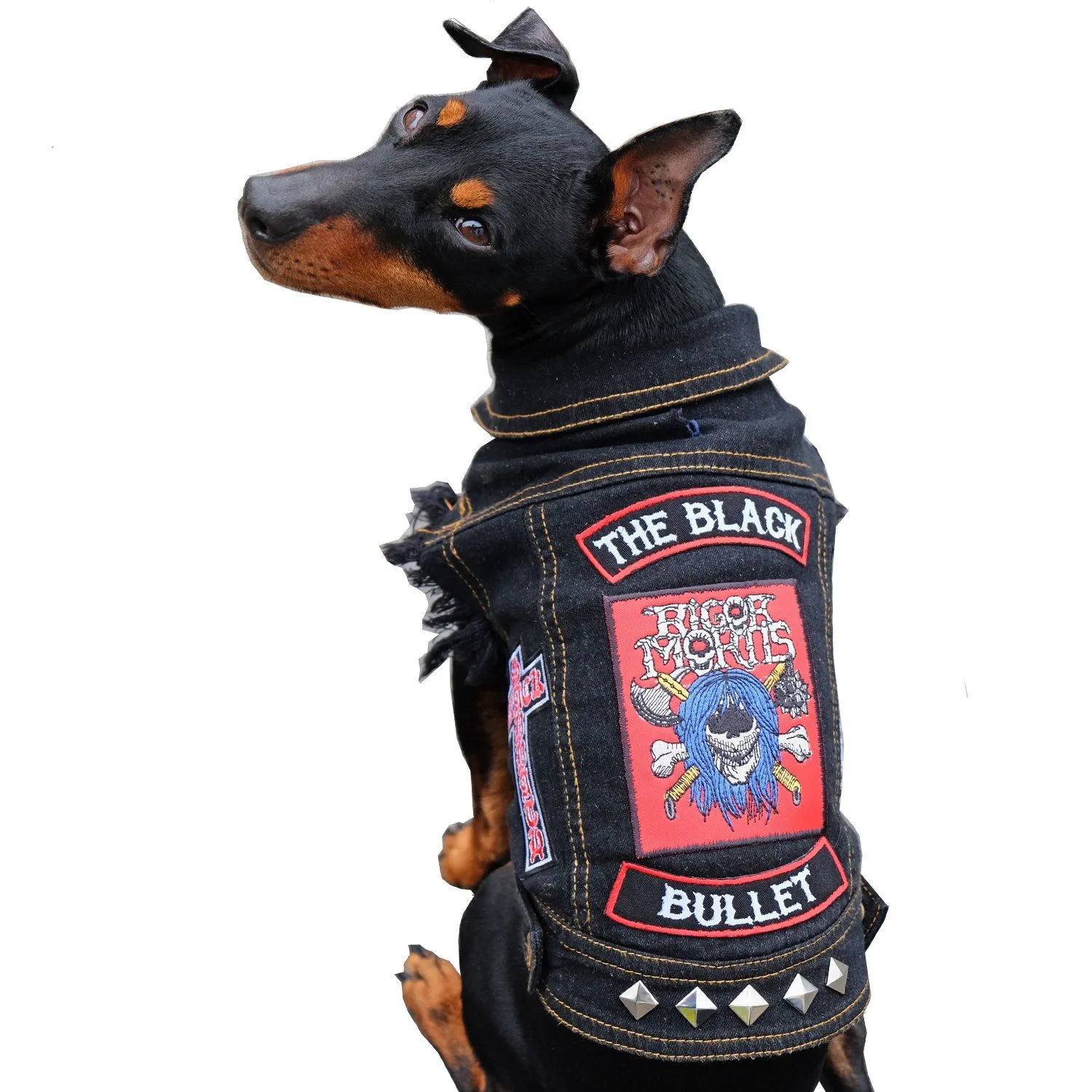Custom Patched Dog Battle Jacket