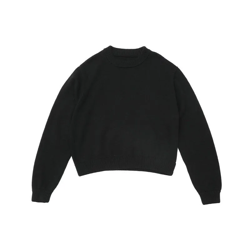 Short -length sweater   N2719